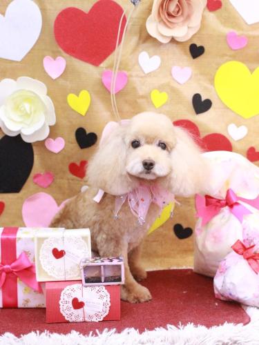 20230215ブランちゃん